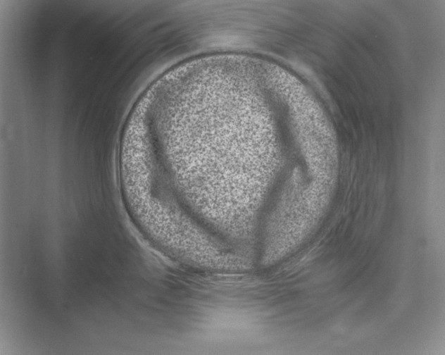 X0000072501295200608111618