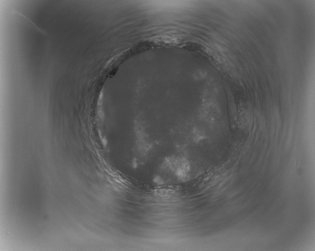 X0000072501297200608111617