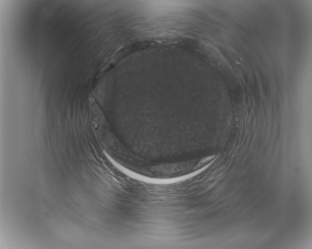 X0000072501298200608111617