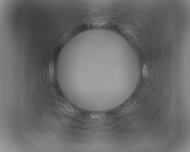 X0000072501299200608111617