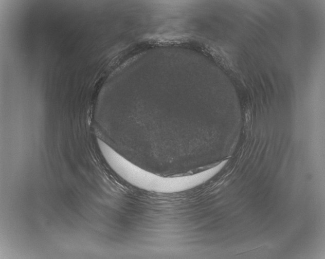 X0000072501300200608111617