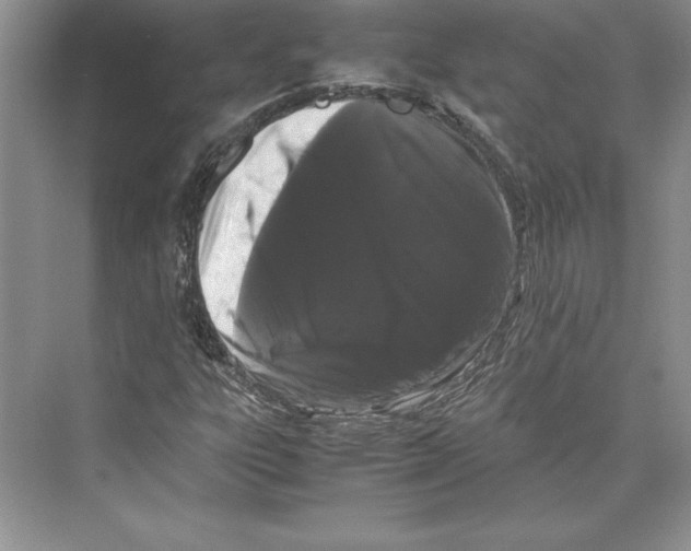 X0000072501303200608111617