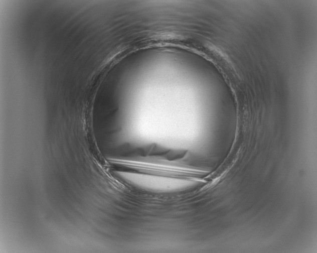 X0000072501305200608111617