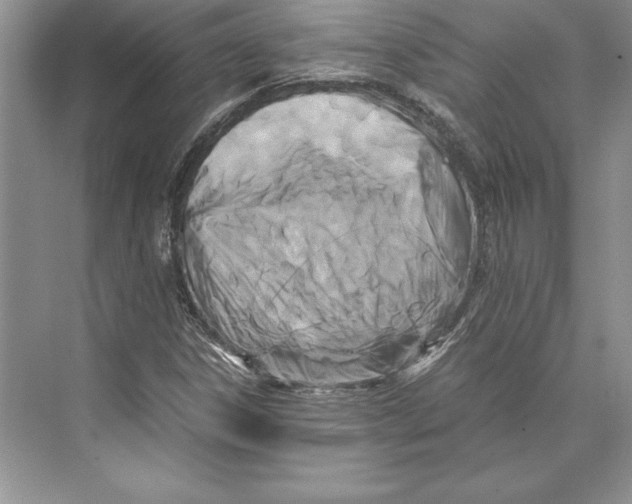 X0000072501306200608111617