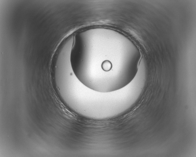 X0000072501308200608111617