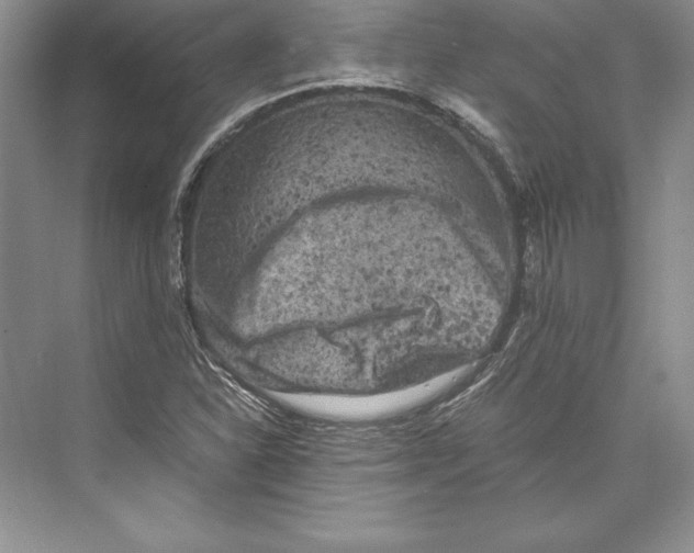 X0000072501310200608111618