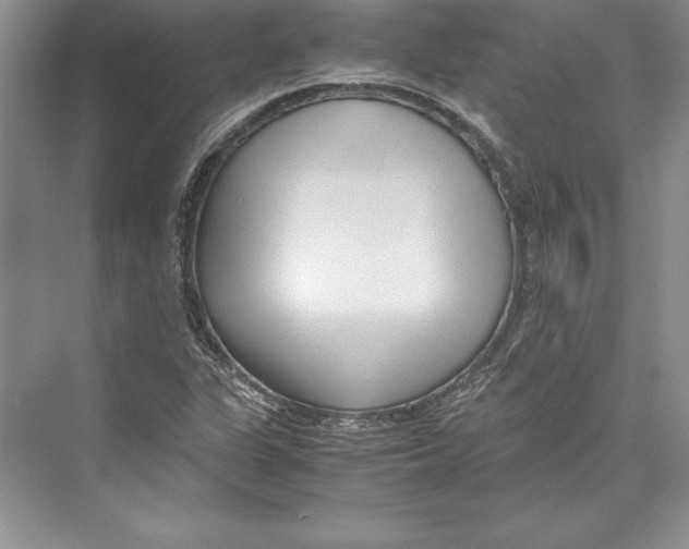 X0000072501311200608111618