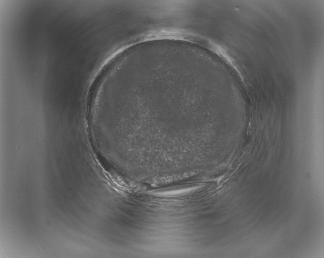 X0000072501312200608111618