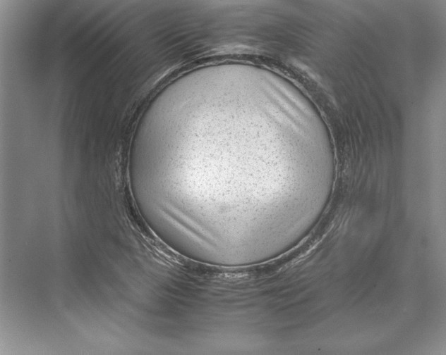 X0000072501313200608111618