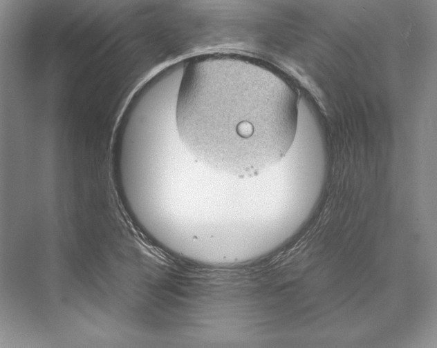 X0000072501316200608111618