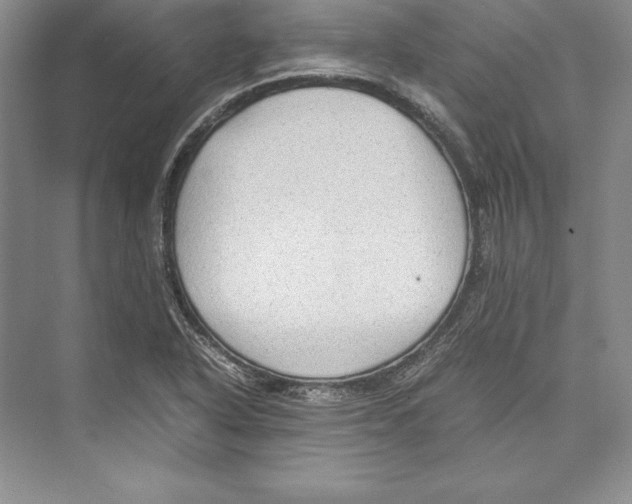 X0000072501318200608111618