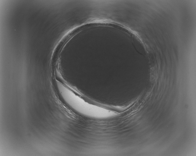 X0000072501319200608111618