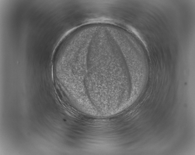 X0000072501320200608111618