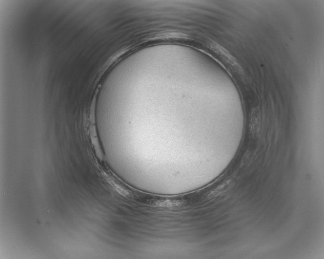 X0000072501321200608111618