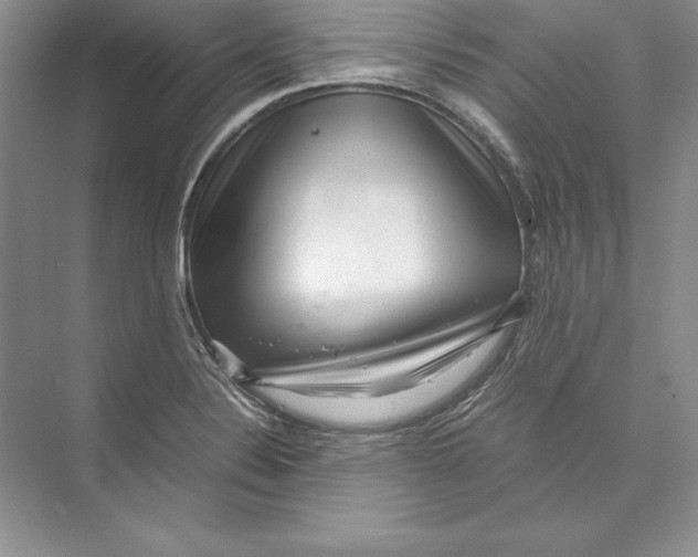 X0000072501324200608111618