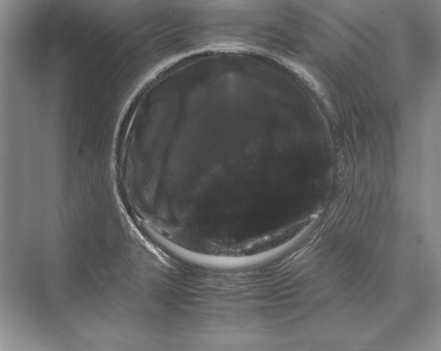 X0000072501327200608111618