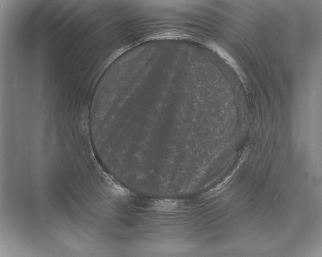 X0000072501329200608111618