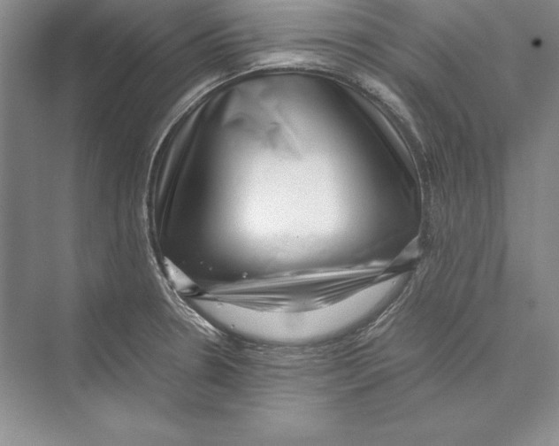 X0000072501330200608111618