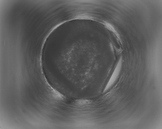 X0000072501331200608111618