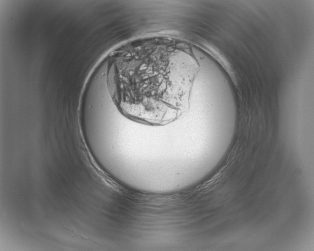 X0000072501332200608111618