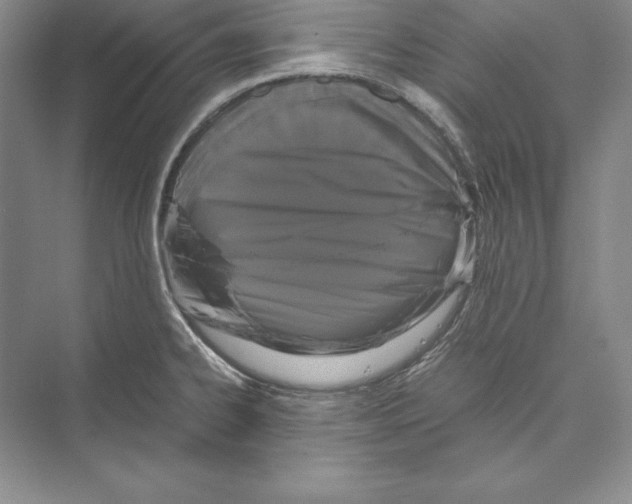 X0000072501334200608111618