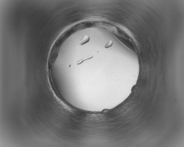 X0000072501335200608111618