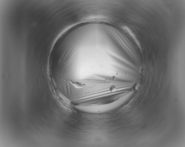 X0000072501336200608111618