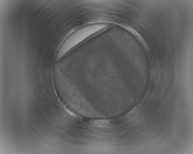 X0000072501337200608111618