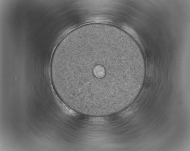 X0000072501338200608111618