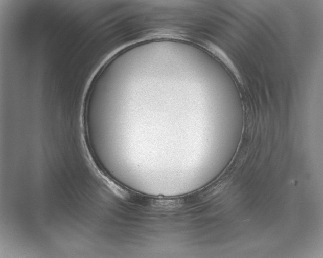 X0000072501339200608111618