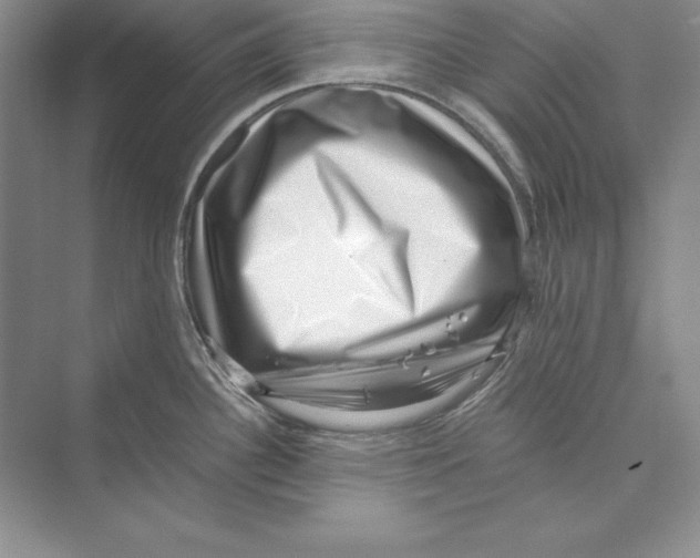 X0000072501340200608111618