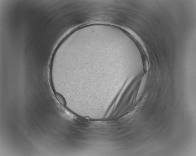 X0000072501341200608111618