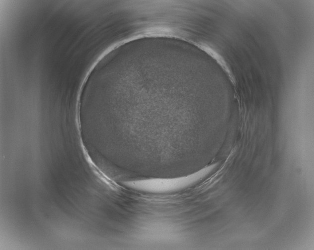 X0000072501342200608111618