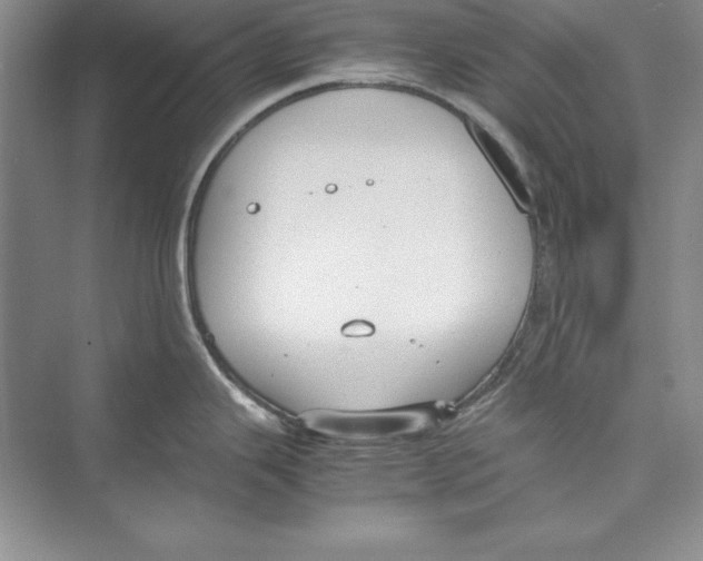 X0000072501343200608111618