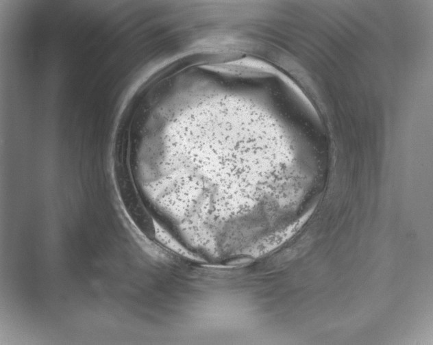 X0000072501344200608111618