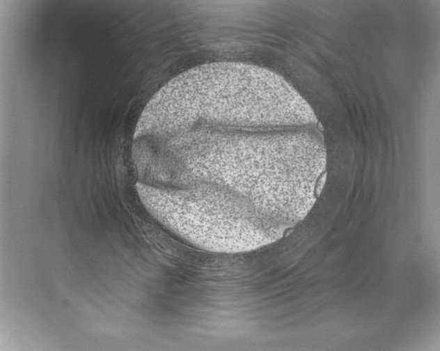 X0000072501346200608111617