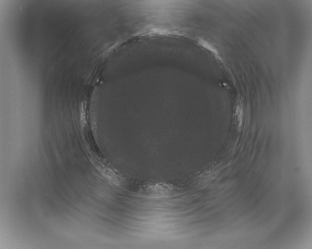 X0000072501348200608111617