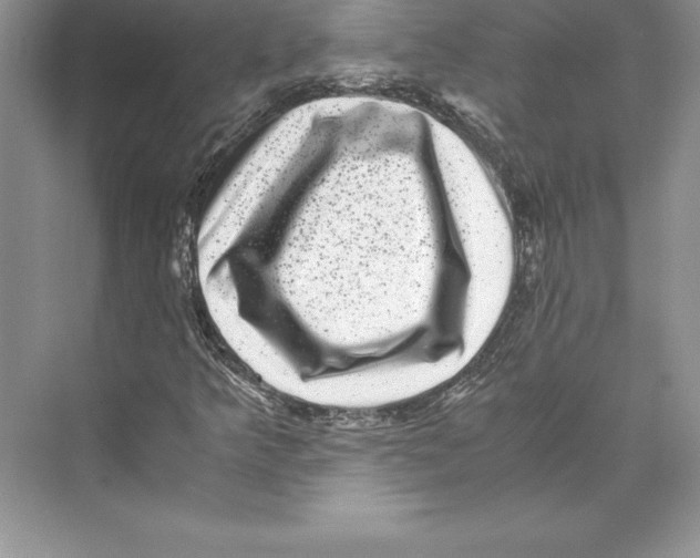 X0000072501349200608111617