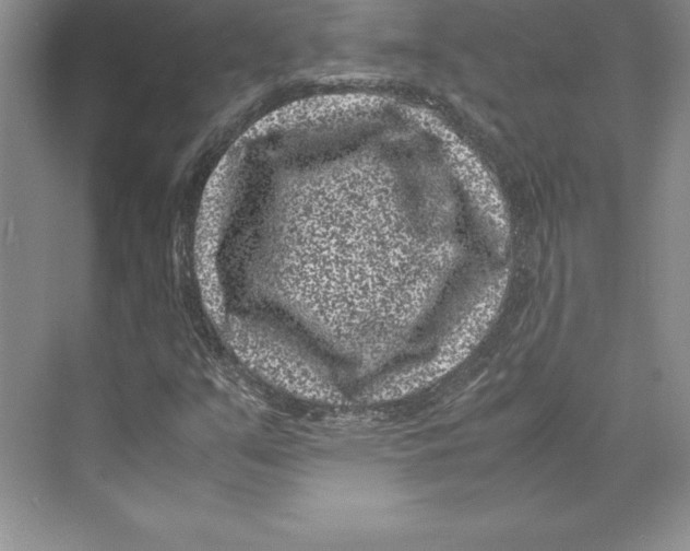 X0000072501351200608111617