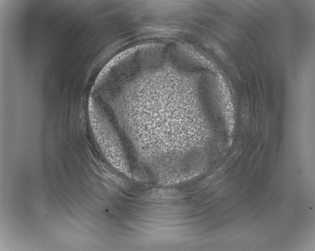 X0000072501354200608111617