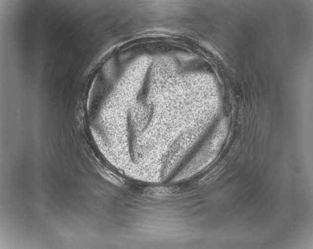 X0000072501355200608111617