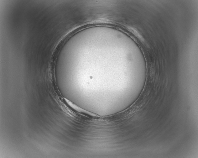 X0000072501356200608111617