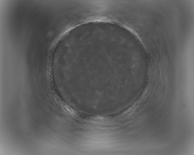 X0000072501359200608111617