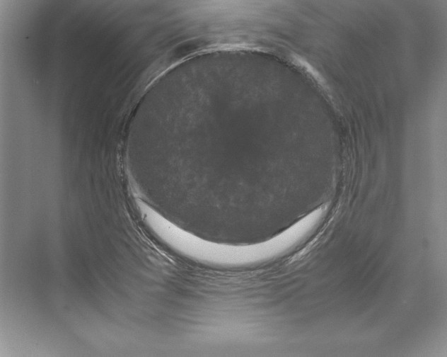 X0000072501361200608111617