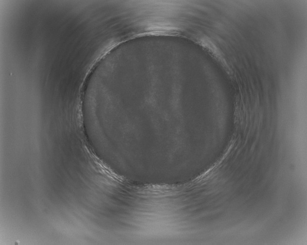 X0000072501362200608111617