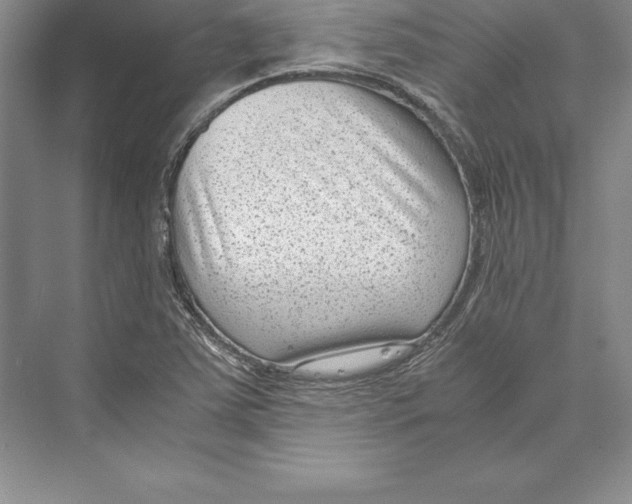 X0000072501363200608111617