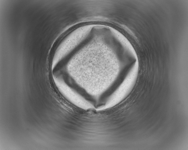 X0000072501364200608111617