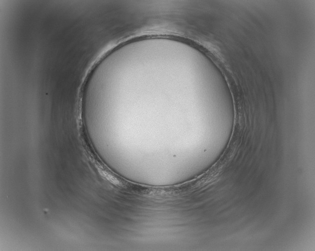 X0000072501366200608111617