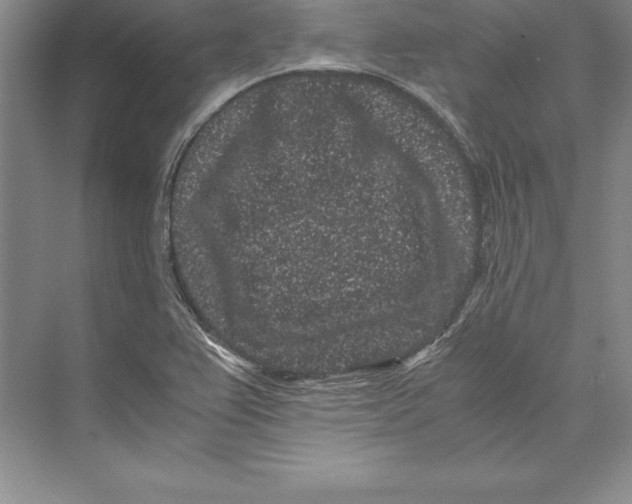 X0000072501367200608111617