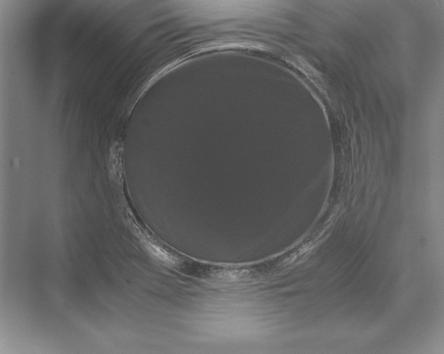 X0000072501369200608111617